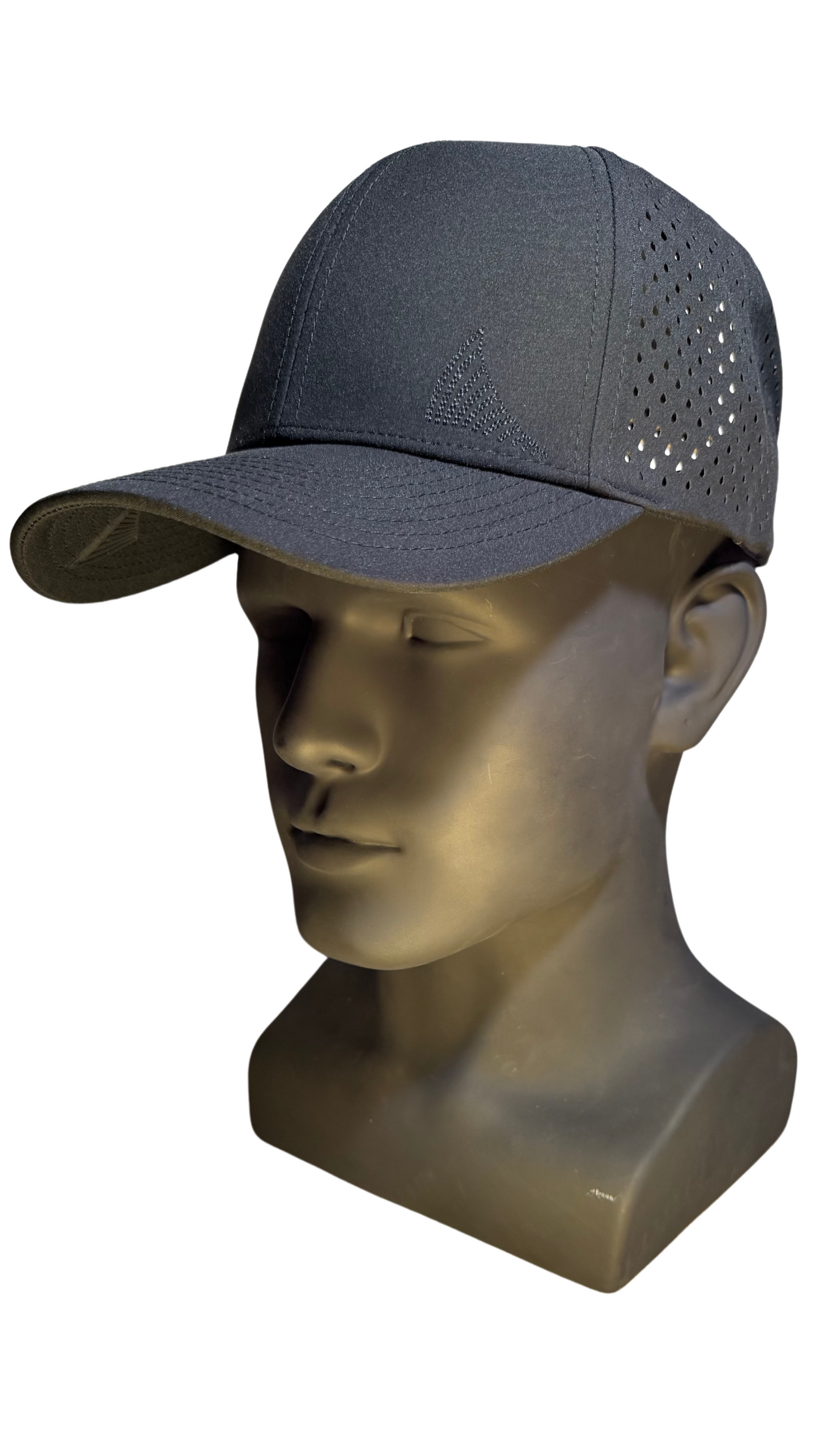 THE BLACKOUT 6 Curved Brim Hat