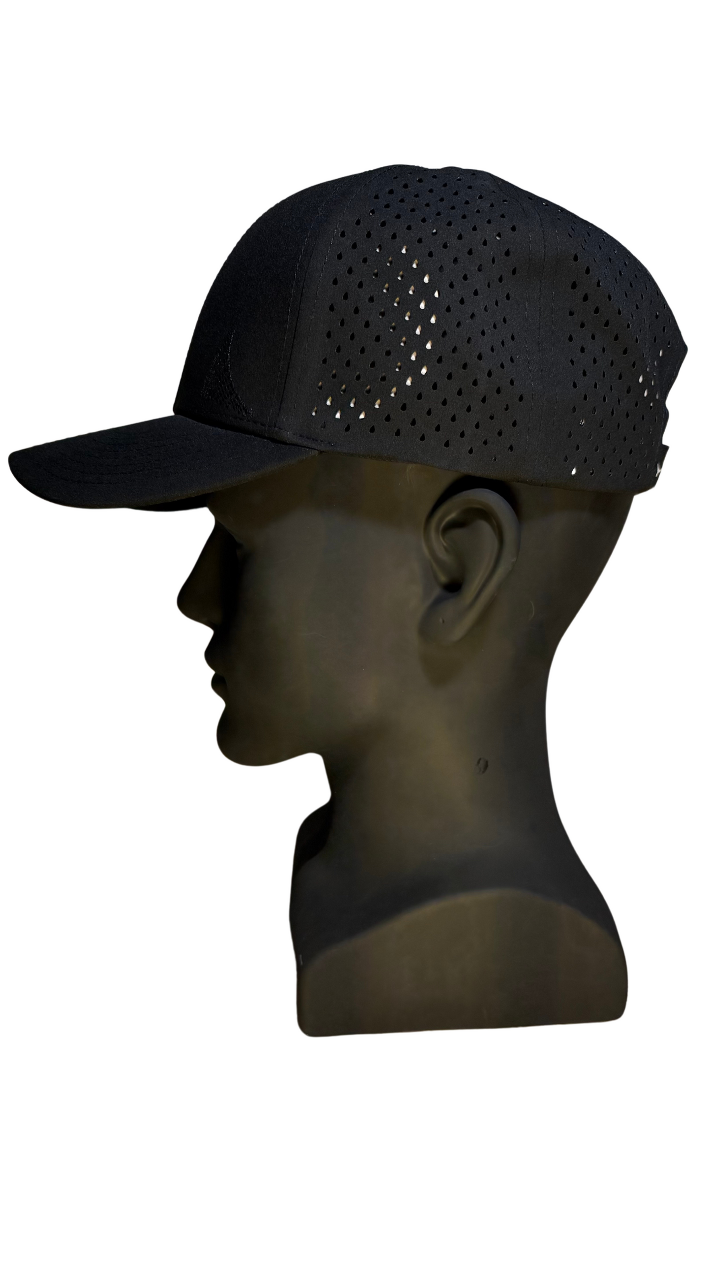 THE BLACKOUT 6 Curved Brim Hat