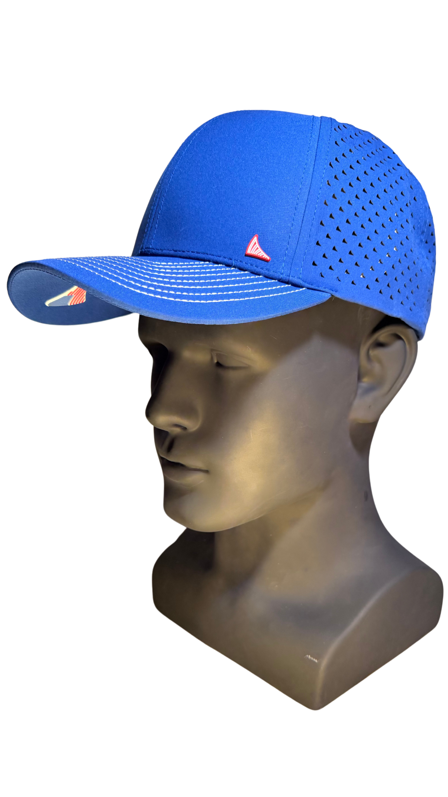 THE COLONY 6 Panel Curved Brim Hat