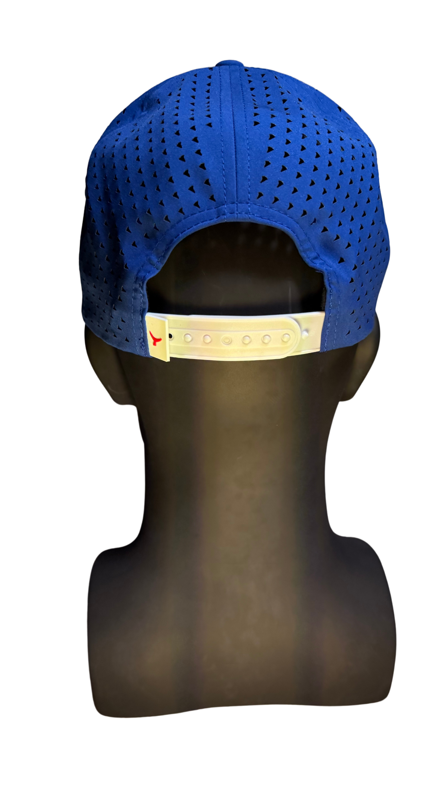 THE COLONY 6 Panel Curved Brim Hat