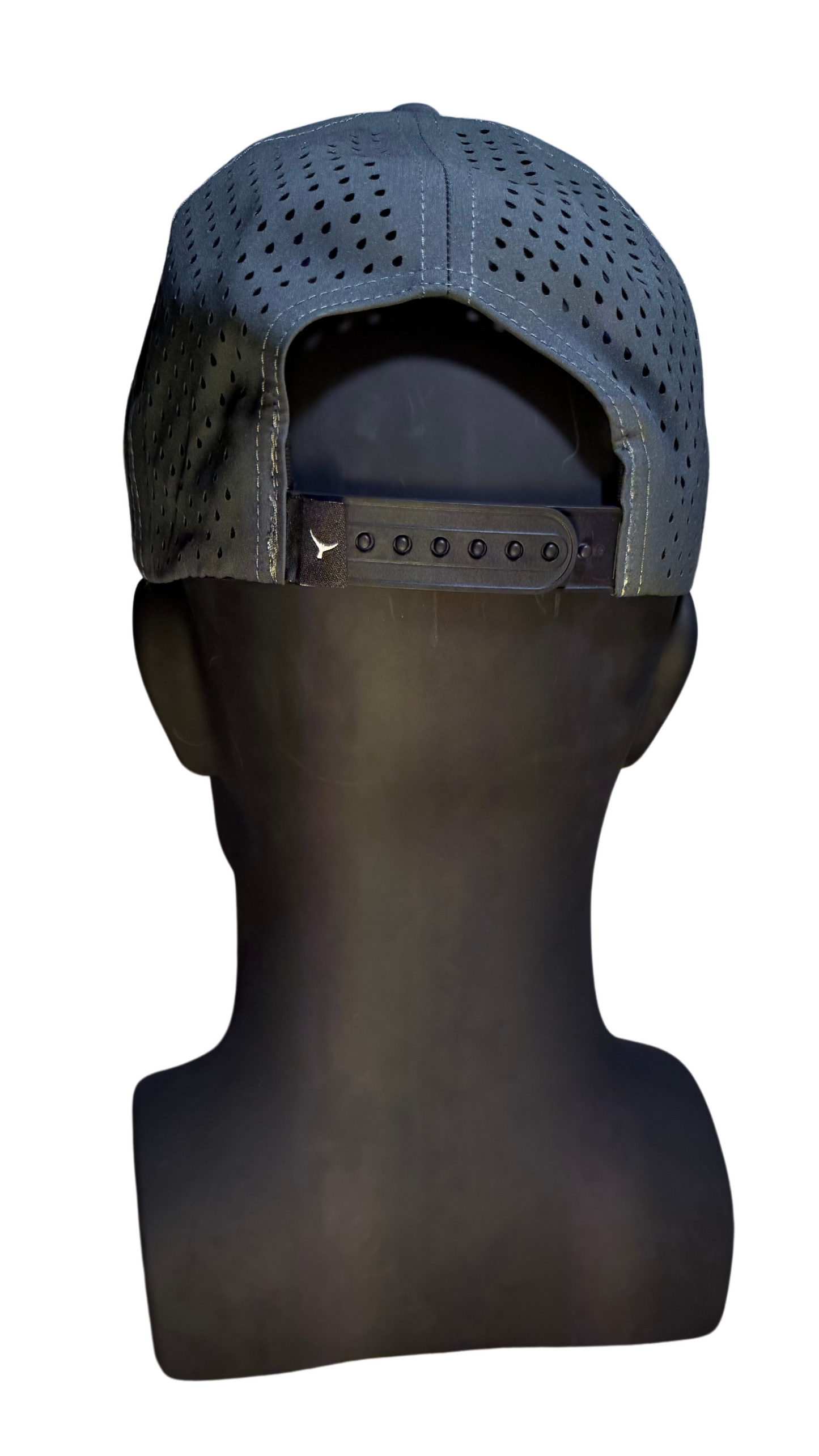 THE SHARSKIN 6 PANEL Curved Brim Hat