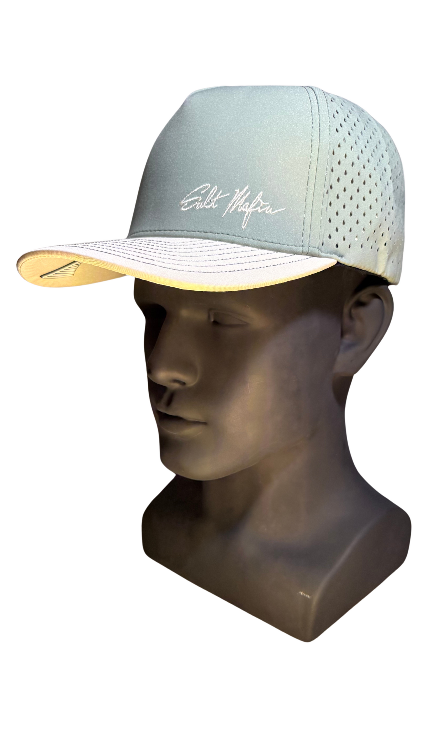 THE COAST Curved Brim Hat