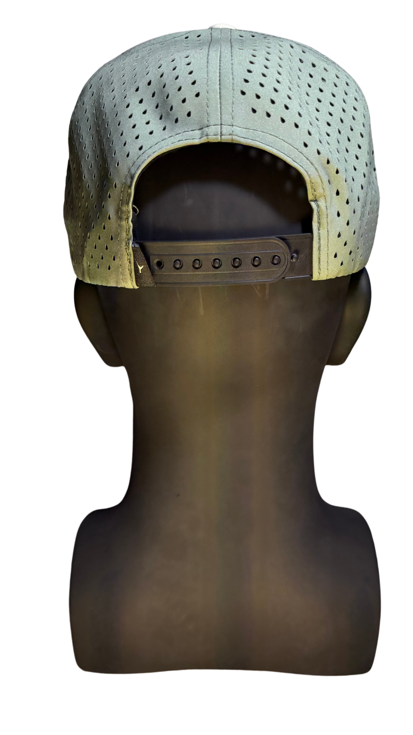 THE COAST Curved Brim Hat