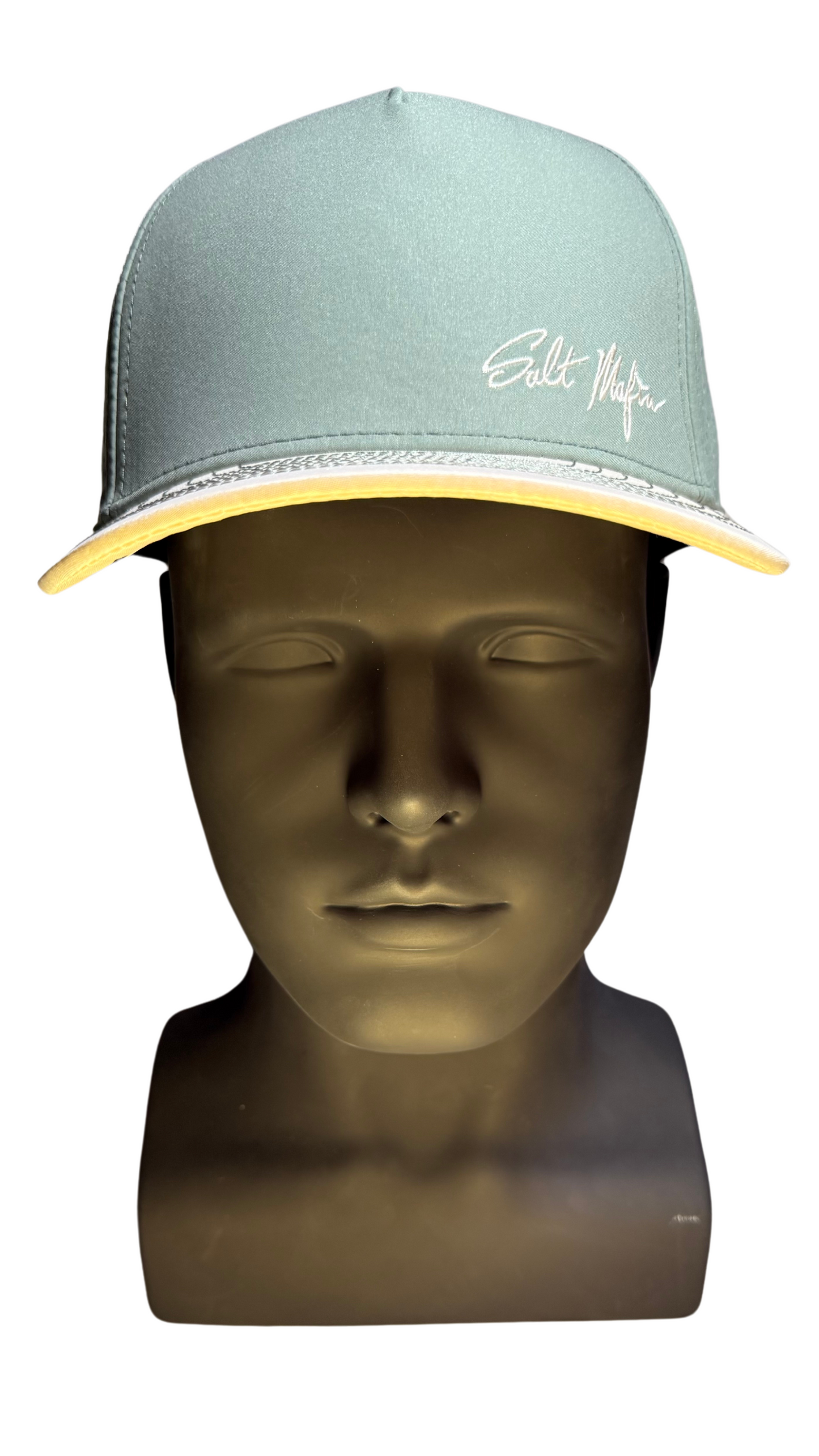 THE COAST Curved Brim Hat