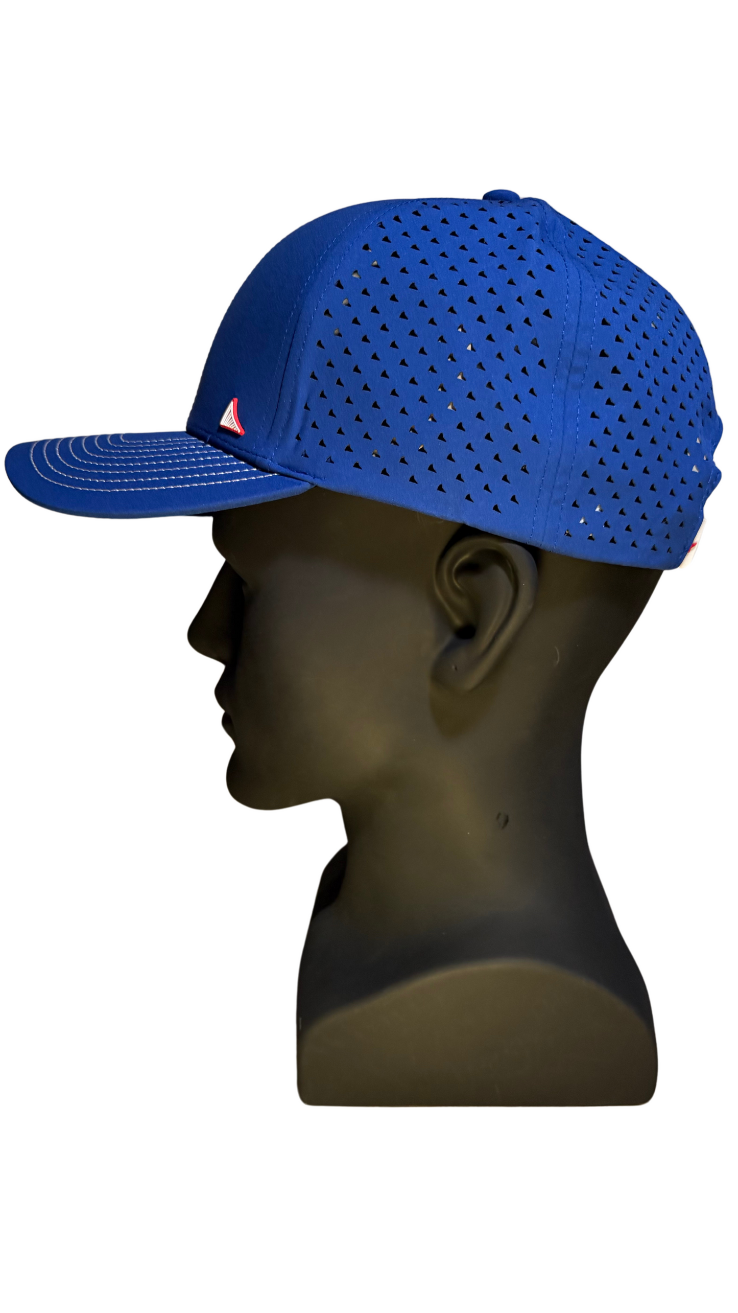 THE COLONY 6 Panel Curved Brim Hat